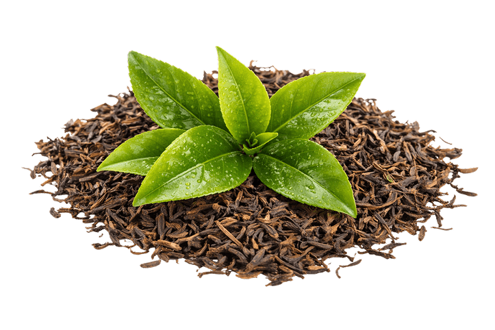 Sancha Tea service process