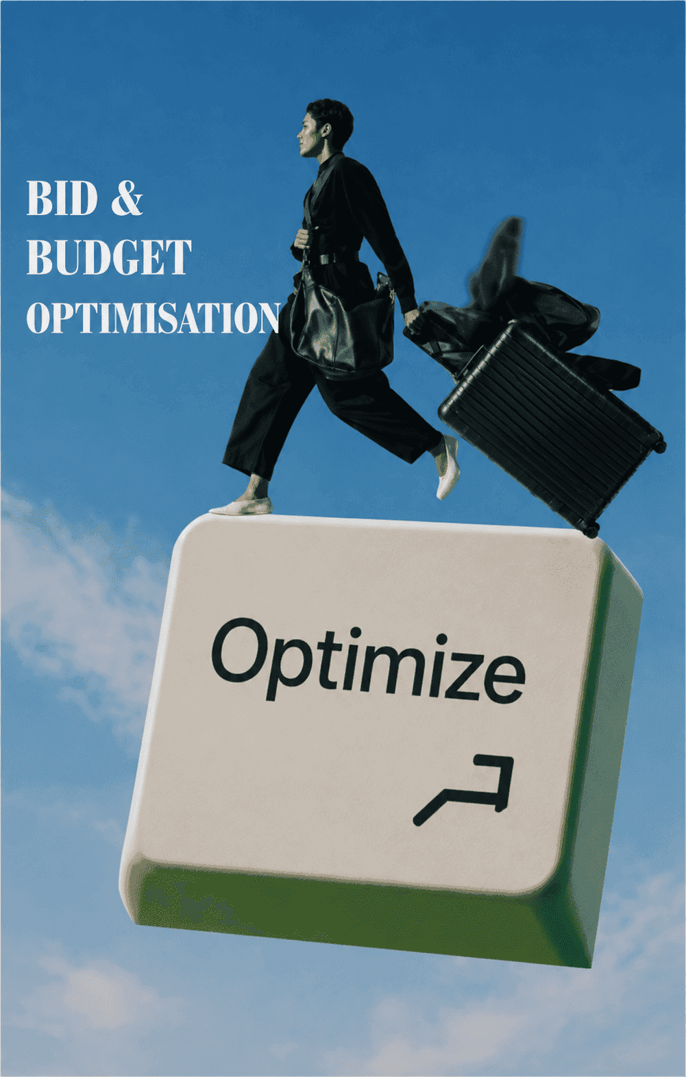 Bid & Budget Optimisation