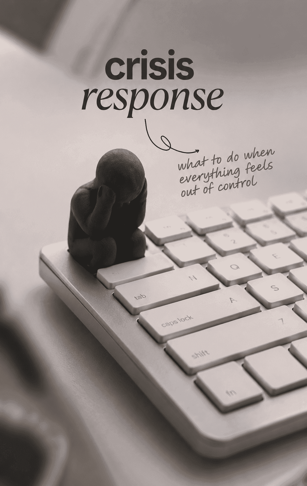 Crisis Response
